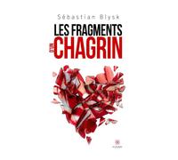 Les fragments d'un chagrin - Sébastian Blysk - Le Lys Bleu - broché - Témoignage