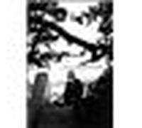 Les fraises sauvages - DVD Zone 1 DVD