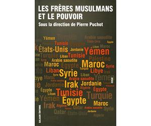 Les Frères musulmans et le pouvoir (2011-2014)