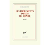 Les frôlements infinis du monde Richard Rognet (Auteur)