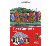 Les Gaulois du Sud