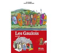 Les Gaulois du Sud - Eric Teyssier - Alcide - broché - Document jeunesse