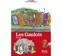 Les Gaulois du Sud Eric Teyssier (Auteur), Frédéric Cartier-Lange (Auteur)