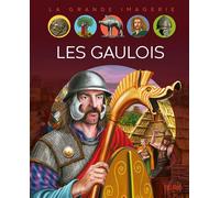 Les gaulois - Stéphanie Redoulès - Fleurus - cartonné - Document jeunesse