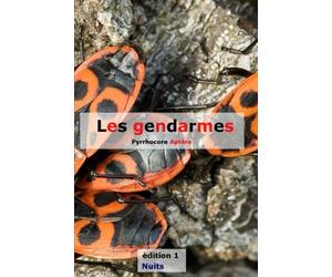 Les gendarmes: Pyrrhocore Aptère