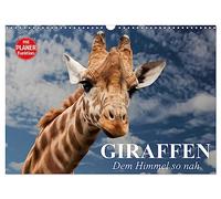 Les girafes. Si proche du ciel, Version française (Calendrier mural 2026 DIN A3 portrait), Calendrier CALVENDO mensuel