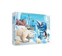 Puzzle glaces
