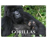 Les gorilles. Des forces pacifiques, Version française (Calendrier mural 2026 DIN A3 portrait), Calendrier CALVENDO mensuel