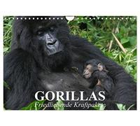 Les gorilles. Des forces pacifiques, Version française (Calendrier mural 2026 DIN A4 portrait), Calendrier CALVENDO mensuel