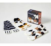 Coffret Les goûters de la famille Chat chaussettes – 3e éd. – First