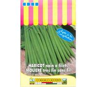 Les Graines Bocquet - Graines De Haricot Nain À Filet Molière 100G - Graines Potagères À Semer - Sachet De 100Grammes