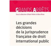 Les grandes décisions de la jurisprudence française de droit internationl public - Alain Pellet - Dalloz - broché - Etude