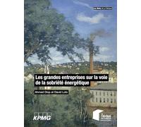 Les Grandes Entreprises Sur La Voie De La Sobriété Énergétique
