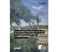 Les Grandes Entreprises Sur La Voie De La Sobriété Énergétique