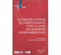 Les Grandes Notions De La Responsabilité Civile À L'aune Des Mutations Environnementales