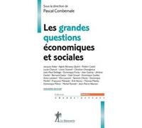 Les grandes questions économiques et sociales Pascal Combemale (Directeur éditorial), Collectif (Auteur)