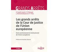 Les grands arrêts de la Cour de justice de l'Union européenne 2ed - Droit constitutionnel et institutionnel de l'Union européenne