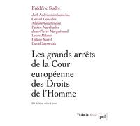 Les Grands Arrêts De La Cour Européenne Des Droits De L'homme