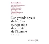 Les Grands Arrêts De La Cour Européenne Des Droits De L'homme