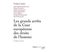 Les grands arrêts de la Cour européenne des droits de l'homme