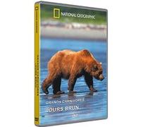 Les Grands carnivores : L'Ours brun G