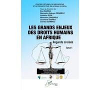 Les Grands Enjeux Des Droits Humains En Afrique - Regards Croisés, Tome 1