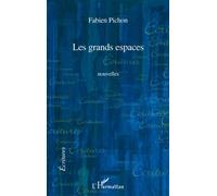 Les grands espaces - Fabien Pichon - L'harmattan - broché - Roman