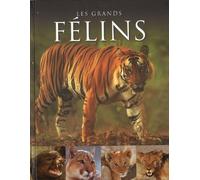 Les grands félins