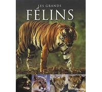 LES GRANDS FELINS