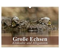 Les grands lézards. Crocodiles et alligators, Version française (Calendrier mural 2026 DIN A3 portrait), Calendrier CALVENDO mensuel