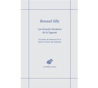 Les Grands Mystères de la Sagesse Renaud Silly (Auteur)