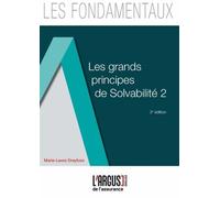 Les Grands Principes De Solvabilité 2
