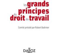 Les grands principes du droit du travail Robert Badinter (Auteur)
