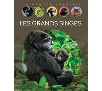 Les grands singes
