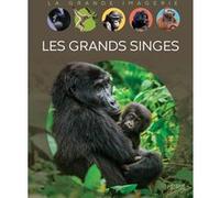 Emmanuelle Grundmann – Les grands singes – Document jeunesse – Cartonné