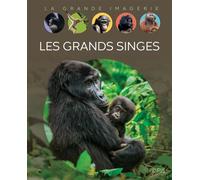 Les grands singes