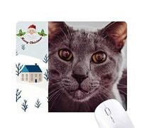 les gros yeux gray cat photo cadeau de noël maison tapis de souris