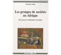 Les Groupes De Sociétés En Afrique - Droit, Pouvoir Et Dépendance Économique