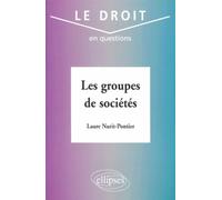 Les groupes de sociétés - - Laure Nurit-Pontier - Ellipses - Livre