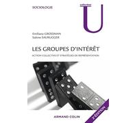 Les groupes d'intérêt: Action collective et stratégies de représentation