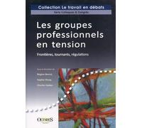 Les groupes professionnels en tension - Frontieres, tournants, regulations
