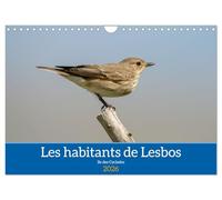 Les habitants de Lesbos Ile des cyclades (Calendrier mural 2026 DIN A4 horizontal), CALVENDO calendrier mensuel