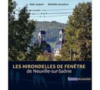 Les Hirondelles de fenêtre Alain Joubert (Auteur), Mathilde Soundron (Auteur)