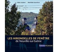 Les hirondelles de fenêtre de Neuville-sur-Saône