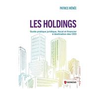 Les Holdings - Guide Pratique Juridique, Fiscal Et Financier À Destination Des Ceo