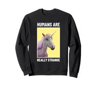 Les Humains sont Vraiment étranges (Graphique drôle de Licorne) Sweatshirt