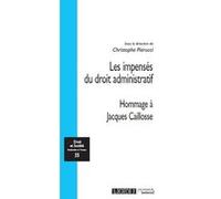 Les impensés du droit administratif Christophe Pierucci (Auteur)