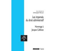 Les impensés du droit administratif: Hommage à Jacques Caillosse (Tome 35)