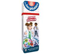 Les incollables - Éventail Passion - Corps humain - El Gunto - Play Bac Eds - Boîte ou accessoire - Scolaire / Universitaire