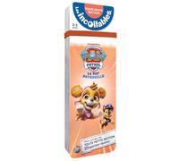 Les incollables - Mon année de Toute Petite Section avec la Pat' Patrouille: 120 questions-réponses